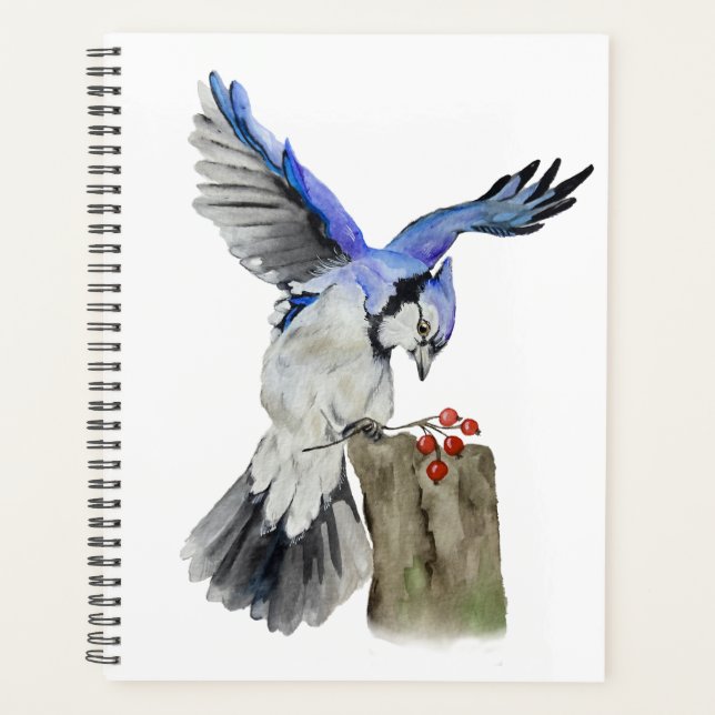 Jay bleu d'oiseau de la forêt (Devant)
