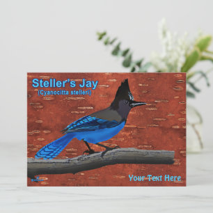 Jay de Steller sur écorce de bouleau intérieur