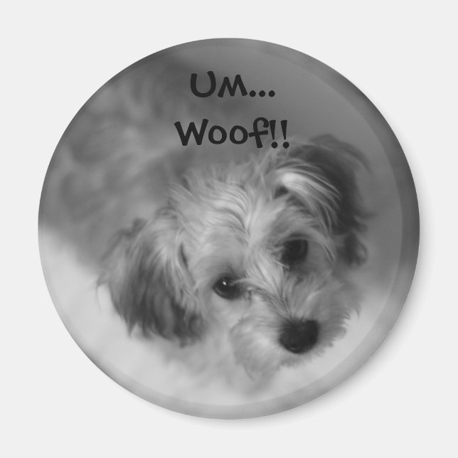 Jazzie Magnet (Devant)