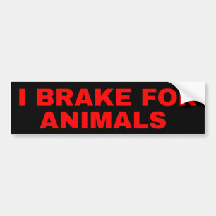 Je Braque Pour Animaux Stickers Bumper
