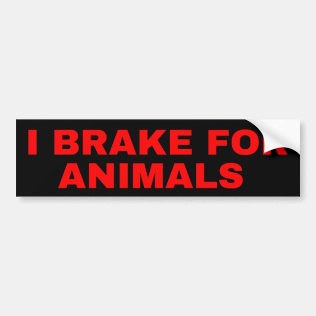 Je Braque Pour Animaux Stickers Bumper (Devant)