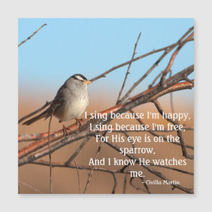 Je chante parce que je suis heureux Moineau