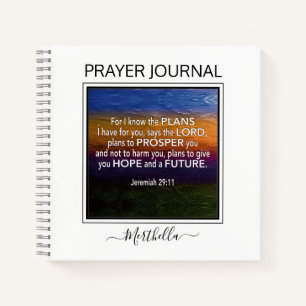 JE CONNAIS LES PROJETS Journal de prière Jérémie 2