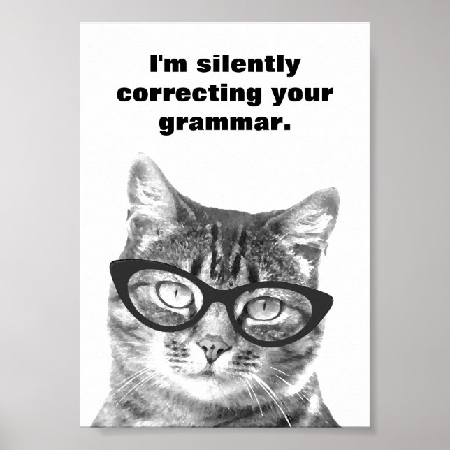 Je corrige silencieusement votre affiche de chat d (Devant)