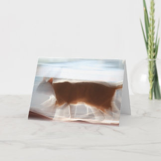 Je d'abord ! ! ! Carte de voeux