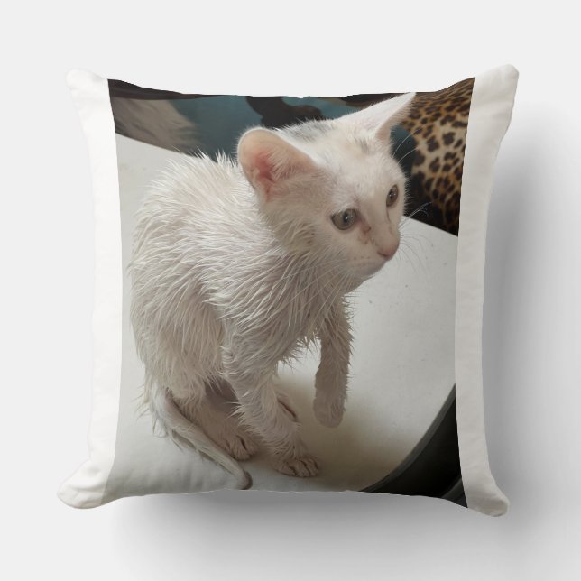 Je déteste les gens ! Coussin à jeter pour chat (Recto)