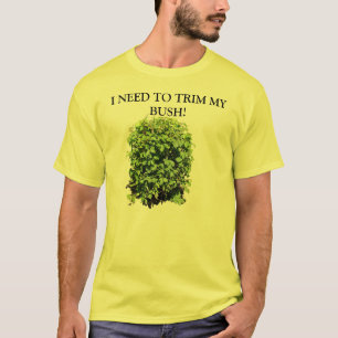 JE DOIS ÉQUILIBRER MON T-SHIRT DE BUSH