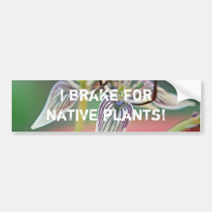 Je freine pour les plantes natifs - Bumper sticker