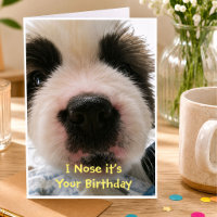 Je le flaire est votre carte d'anniversaire