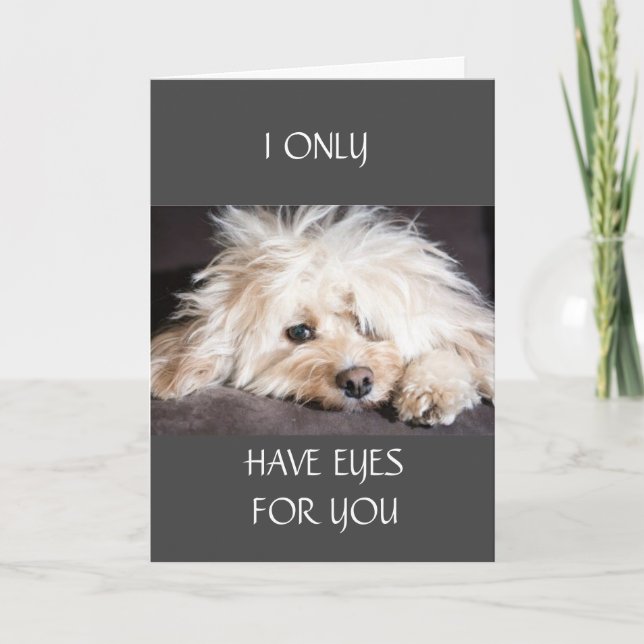 JE N'AI QUE LA CARTE "YEUX POUR VOUS" (Devant)