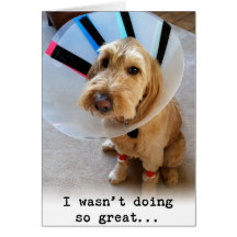 Je ne faisais pas si grand…