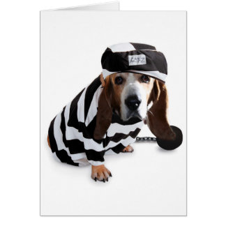 Je ne l'ai pas voulu dire…