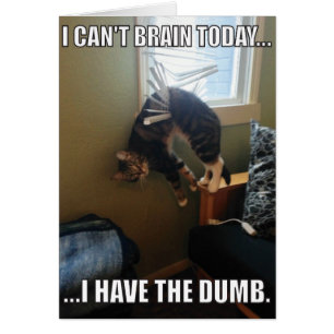 Je ne peux pas Cerner aujourd'hui. J'Ai La Bande (