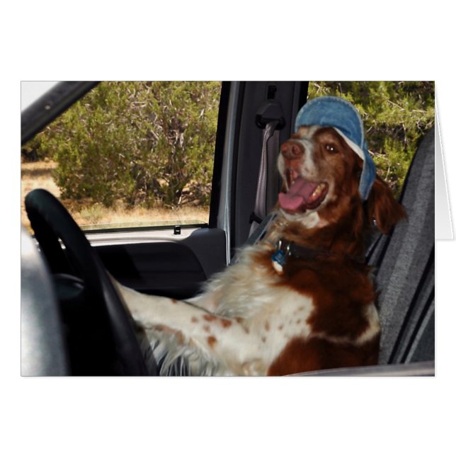 JE NE PEUX PAS CONDUIRE 55 ! (Devant Horizontal)