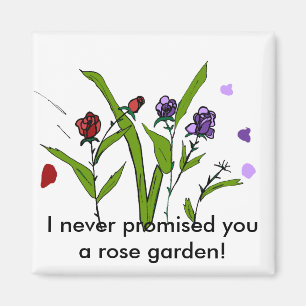 Je ne vous ai jamais promis un aimant rose pour ja