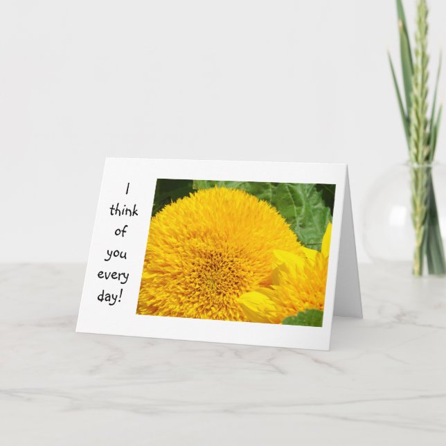 Je pense à vous tous les jours ! Cartes pensant à  (Devant)