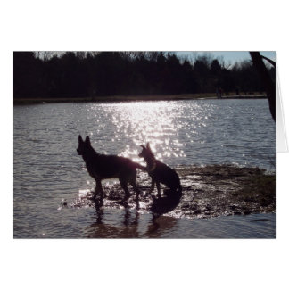 Je pourrais passer une vie de couchers de soleil a