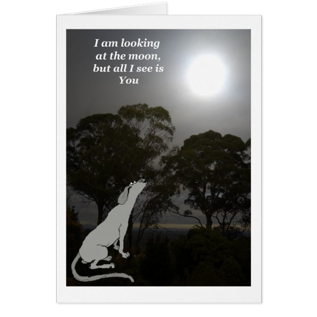 Je regarde la lune (Devant)