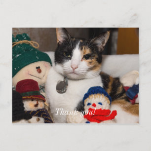 Je repère une carte postale de remerciement calico