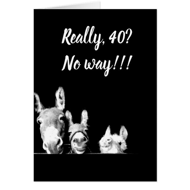 **JE SERAI L'ONCLE D'UN ÂNE** VOUS NE POUVEZ PAS Ê (Devant)