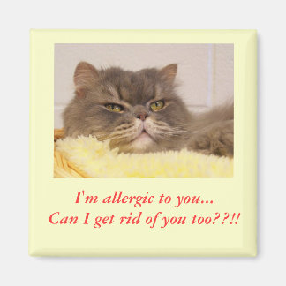 Je suis allergique à toi. Magnet