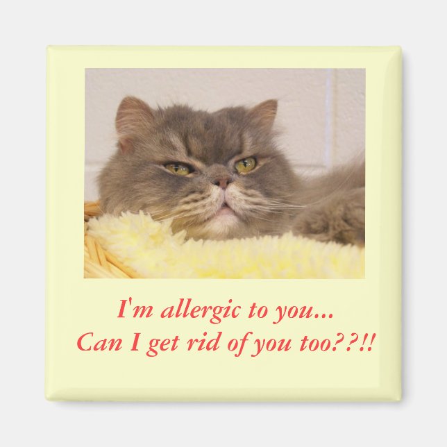 Je suis allergique à toi. Magnet (Devant)