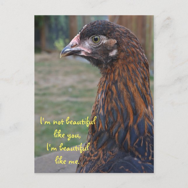 Je suis belle... Carte postale de poulet Cochin (Devant)