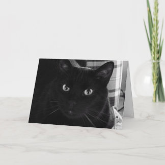 Je suis Choqué Chat noir Carte d'anniversaire
