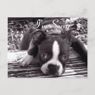 Je suis Désolé Carte