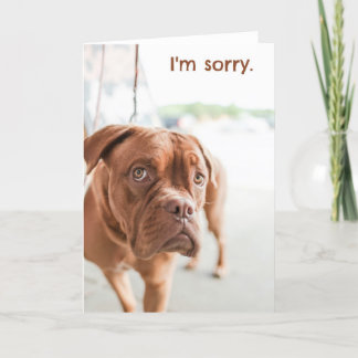 Je suis désolé carte d'excuses avec un chien coupa