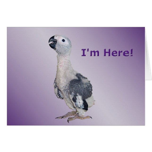 Je suis ici (Devant horizontal)