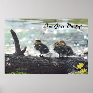 Je suis Juste Ducky ! Poster -36x24 -autres taille