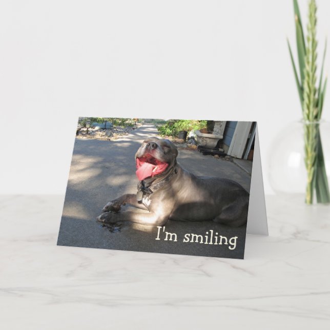 Je suis la carte d'anniversaire de Pitbull sourian (Devant)