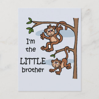 Je suis la carte postale de Little Brother