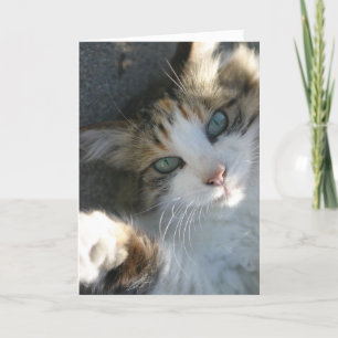 Je suis là pour ta carte