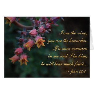 Je suis la vigne… 15:5 de John