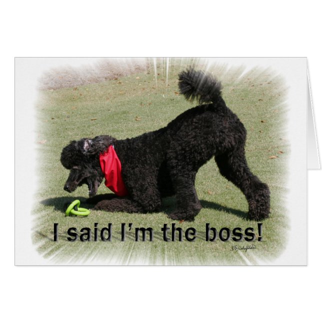 Je suis le patron (Devant horizontal)