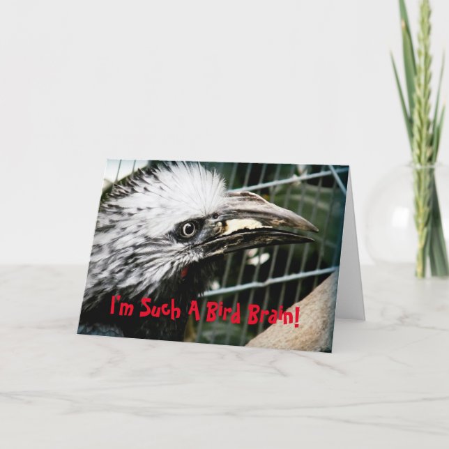 Je suis tellement un cerveau d'oiseaux drôle carte (Devant)