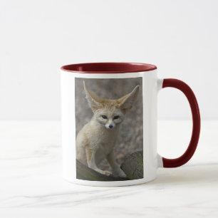 Je suis toute la tasse d'oreilles