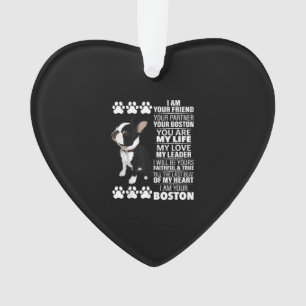 Je Suis Votre Ami Votre Partenaire Votre Boston Te