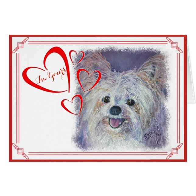 JE SUIS VOTRE VALENTINE CUTE BLANC YORKIE MIX (Devant horizontal)