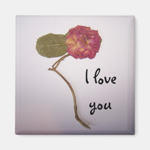 Je t'aime aimant