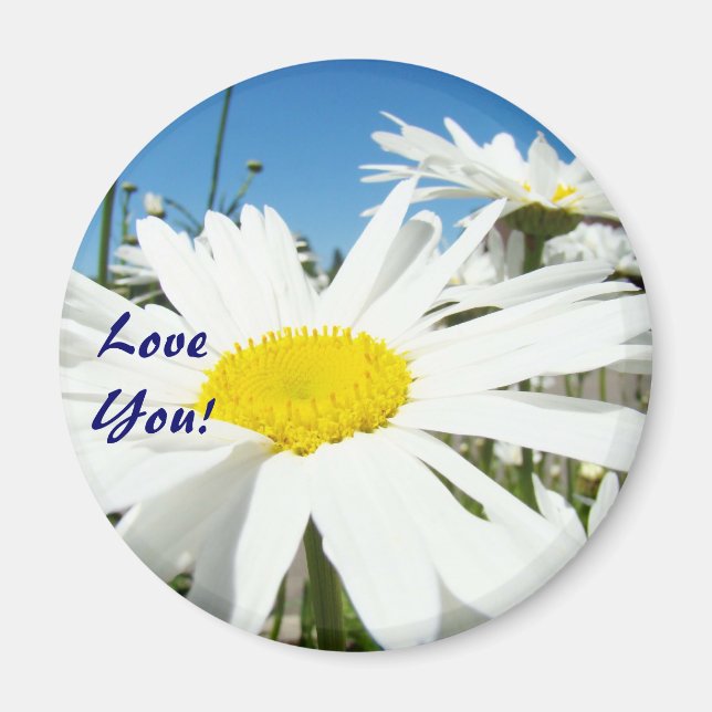 Je t'aime ! aimants Fleurs de Marguerite Blanche C (Devant)