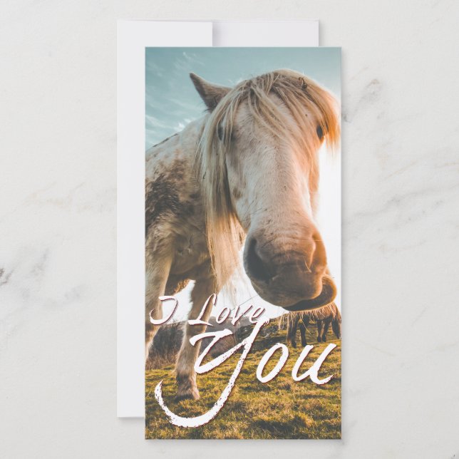 Je t'aime avec cheval regardant (Devant)