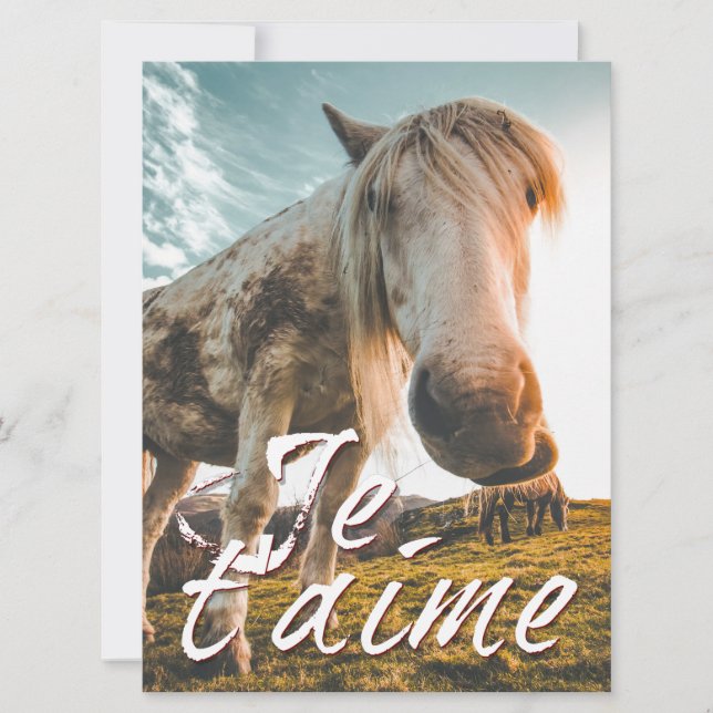 Je t'aime avec un cheval regardé (Devant)