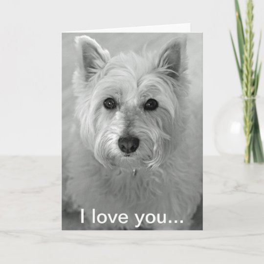 Je T Aime Carte Carte Mignonne De Chien De Zazzle Fr