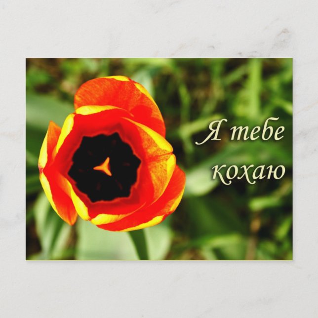 Je t'aime carte postale (Devant)