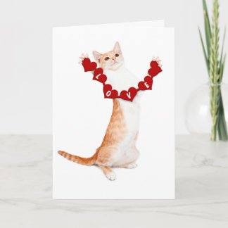 Je t'aime cette carte beaucoup avec chaton