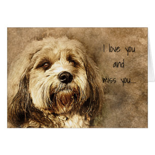 Je t'aime et tu me manques, Triste Chien