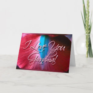 Je t'aime grand-maman ! Carte (orchidée rouge)